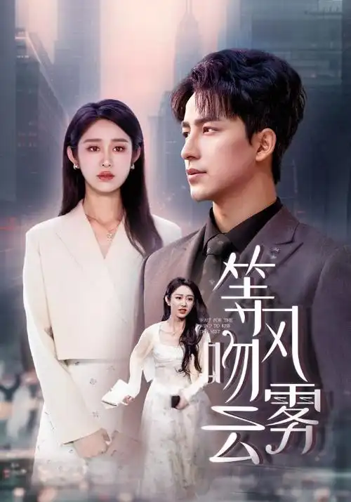 电视剧：迷雾追踪